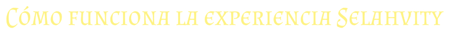 Cómo funciona la experiencia Selahvity